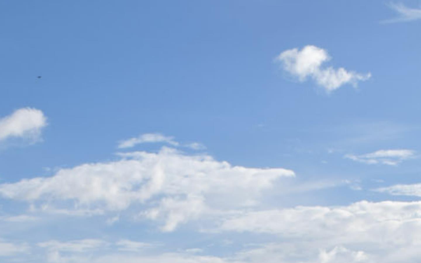 L D S Technology Website