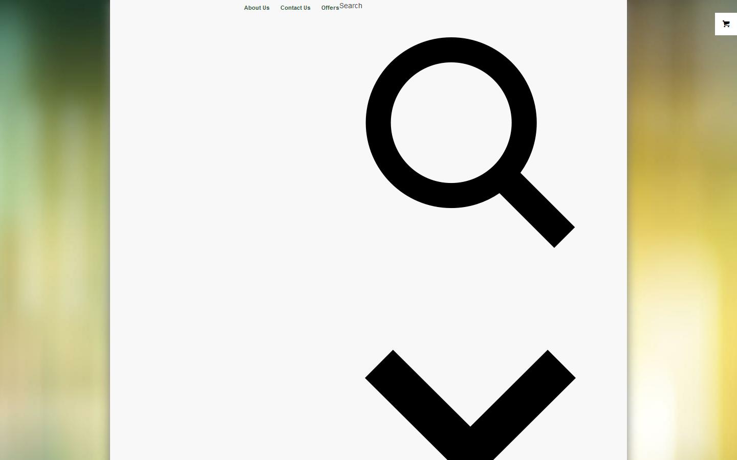 Bownet C M S Ltd Website