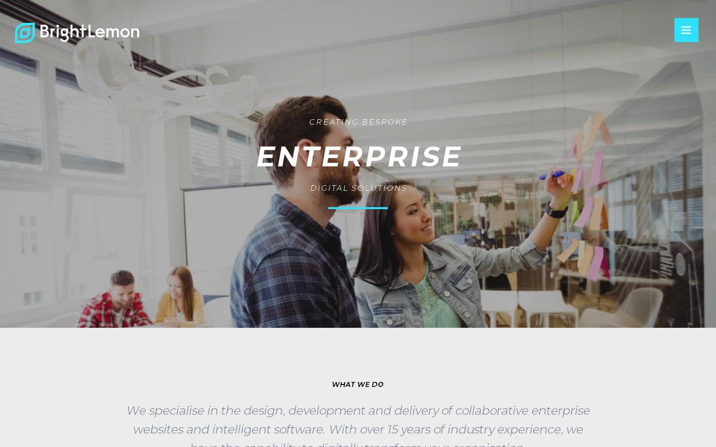 Bright Lemon Ltd Website