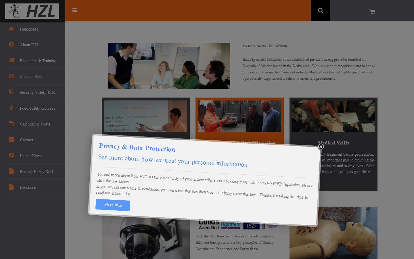 H Z L Website
