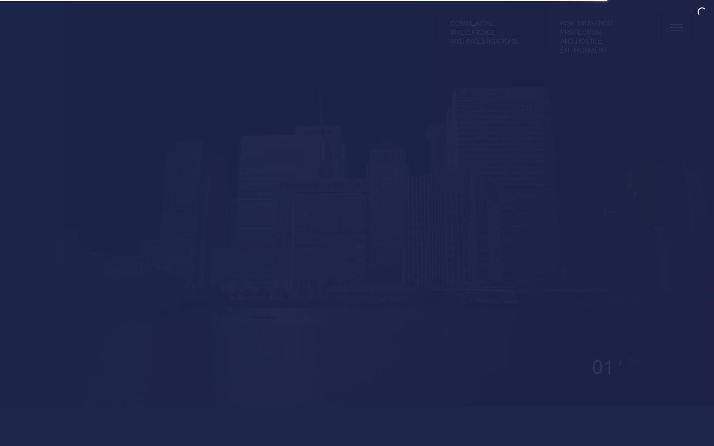 Page Protective Services Website