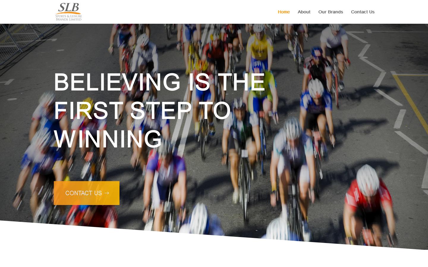 Reynolds Sports Website