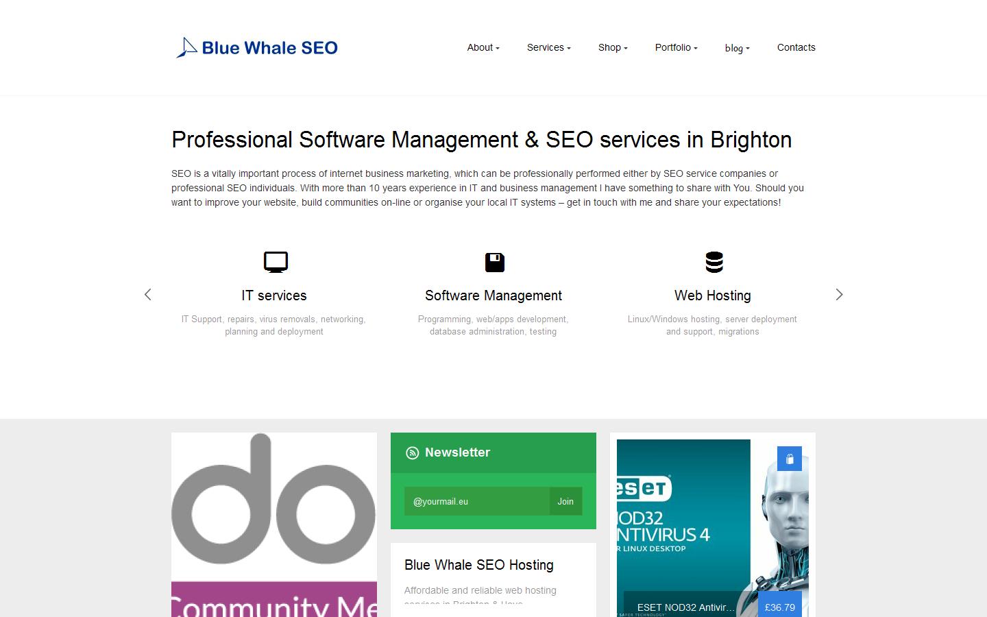 Blue Whale SEO Ltd Website