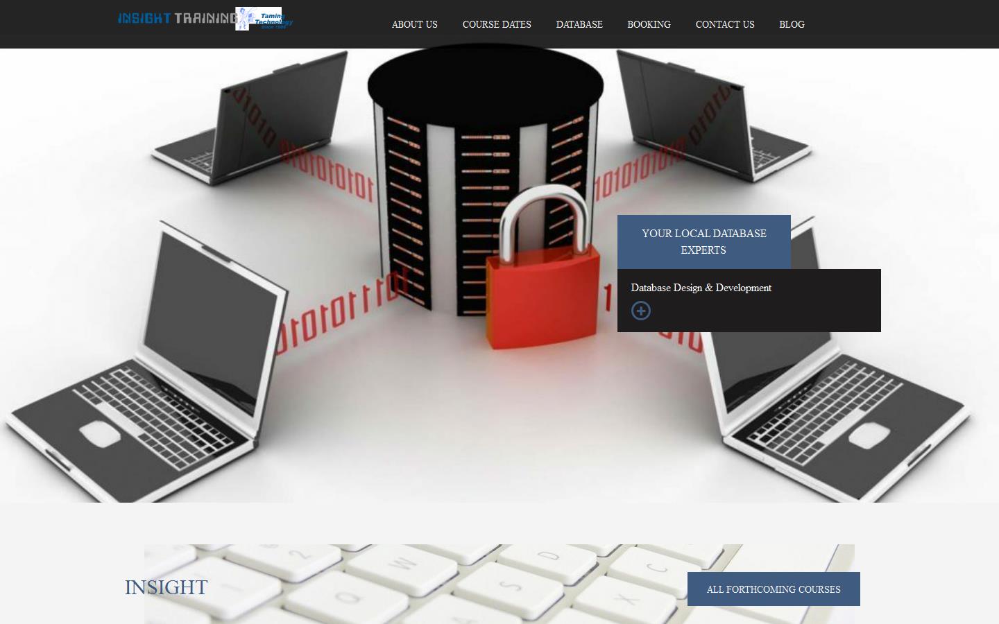 Insight Training Website