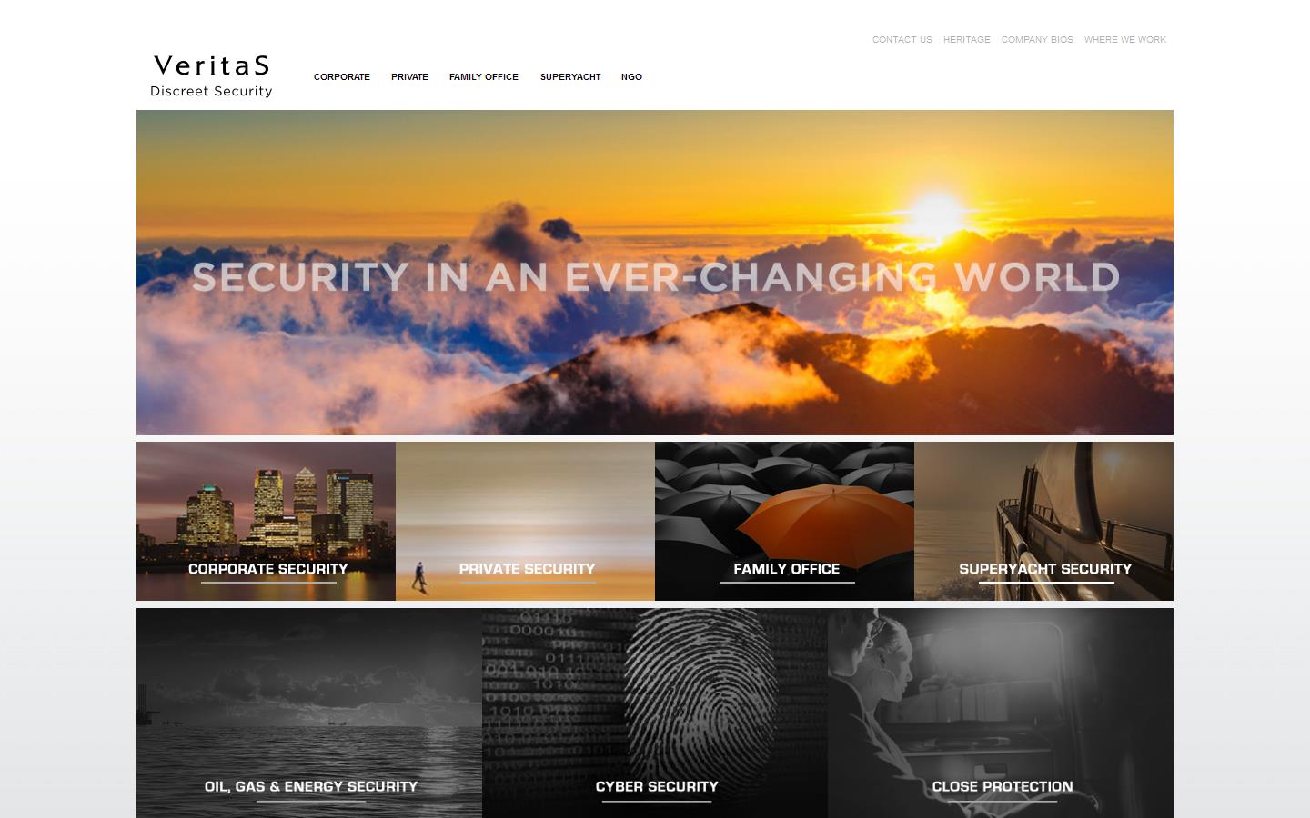 Veritas International Solutions Ltd Website