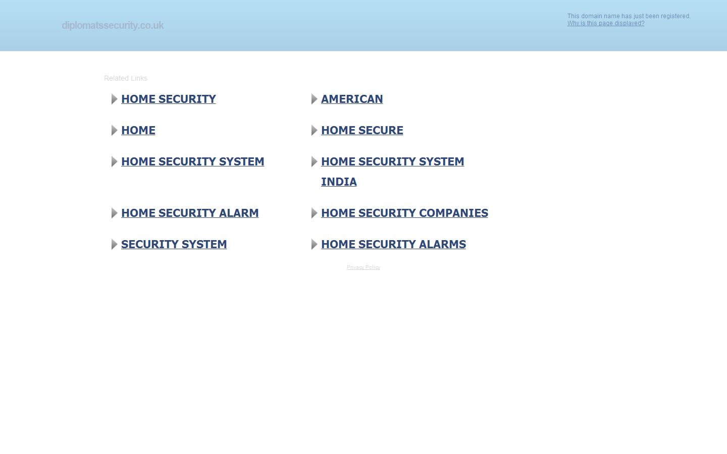 Diplomats Security Contract Ltd Website
