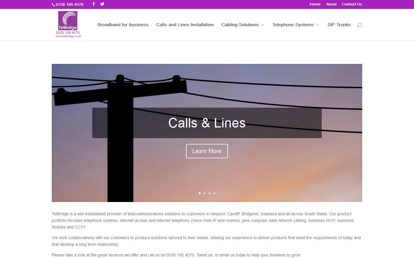 Telbridge Website