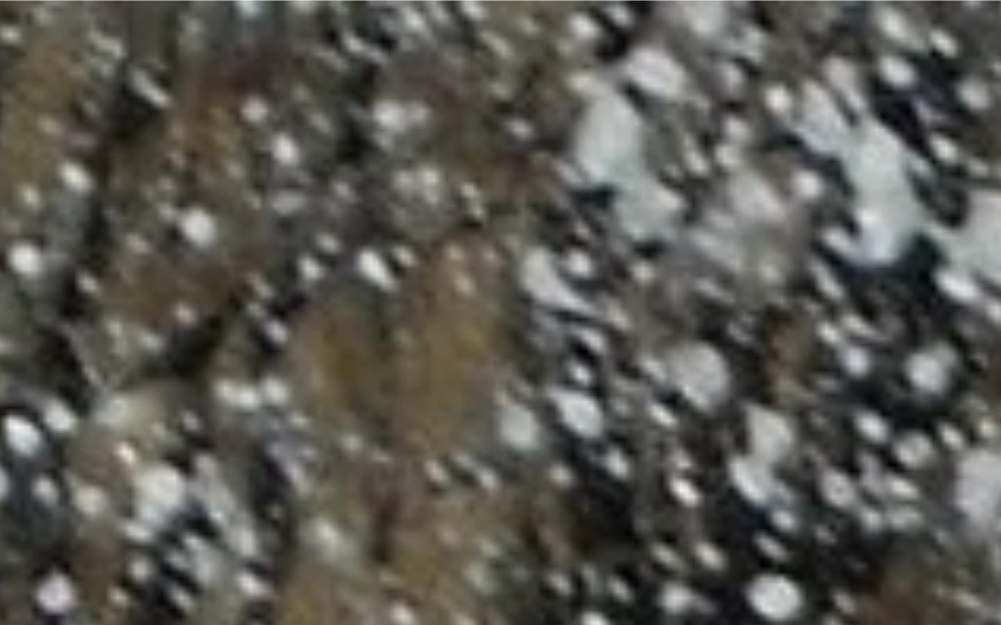 Motivation in Motion Website