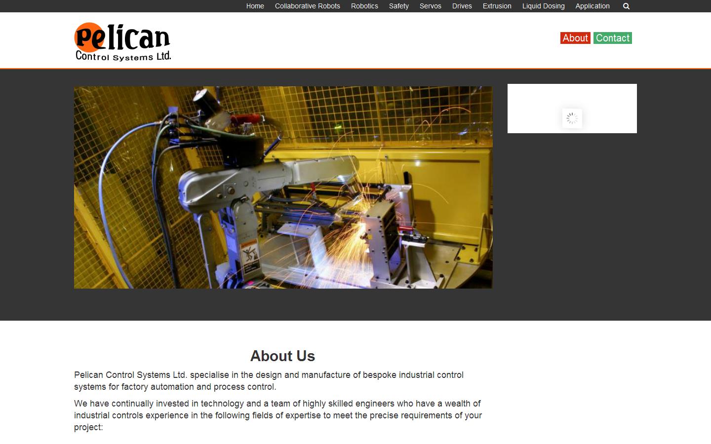 Pelican Control Systems Ltd Website