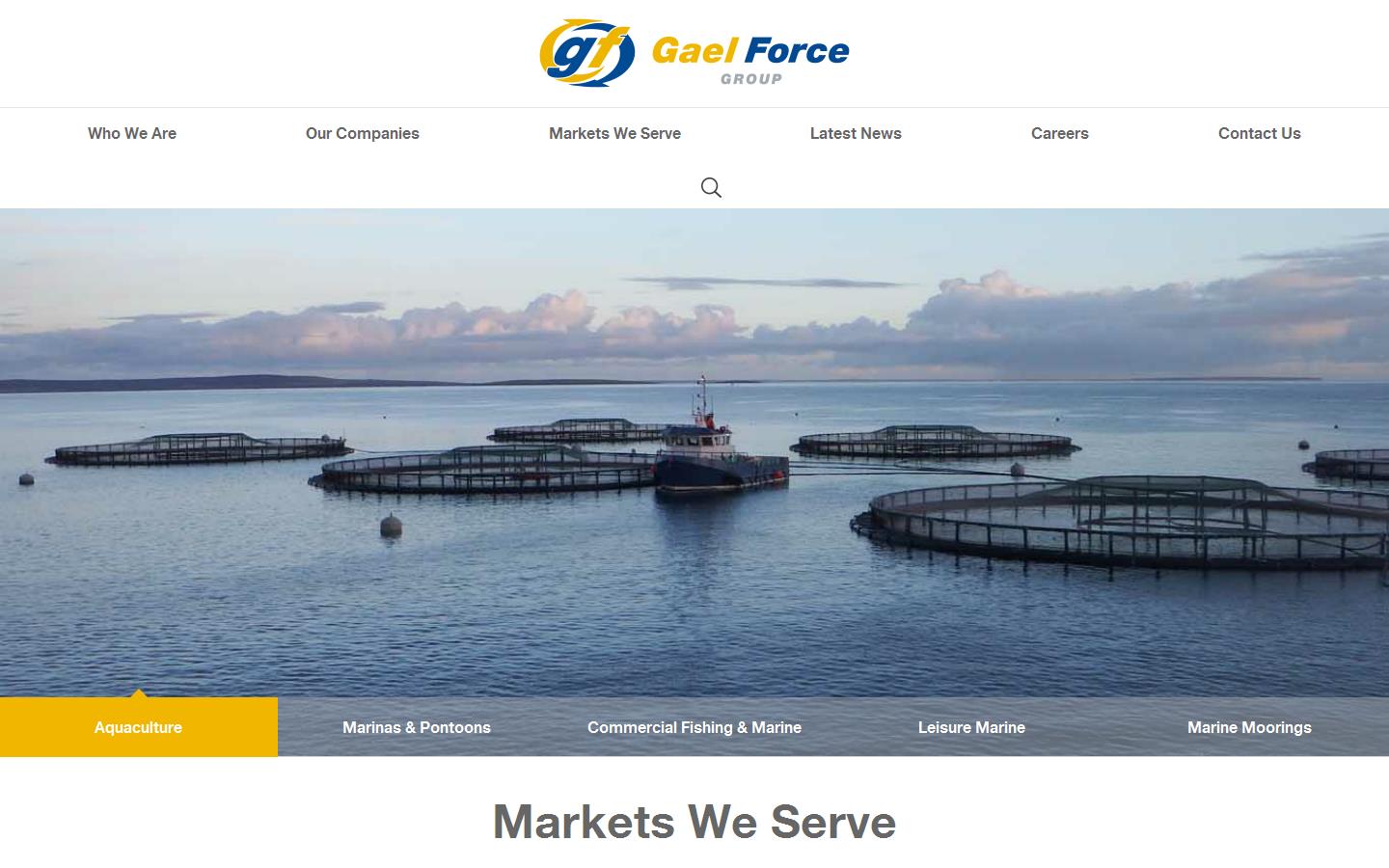 Gael Force Engineering Ltd Website