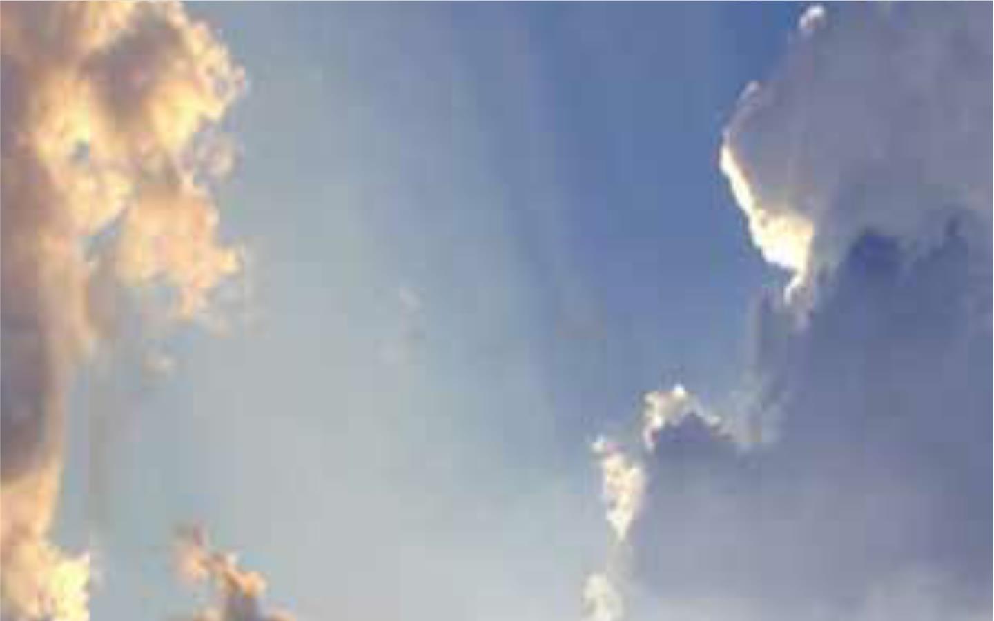 Paragon Precision Website