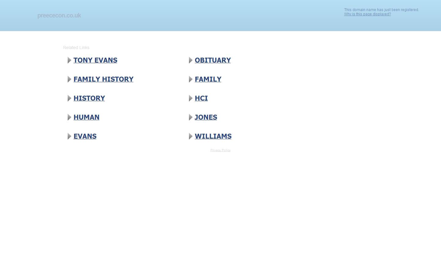 Preece Consultants Ltd Website