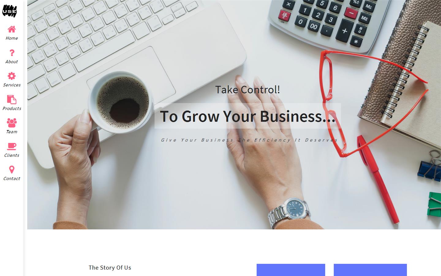 Cruse Control Business Systems Ltd Website