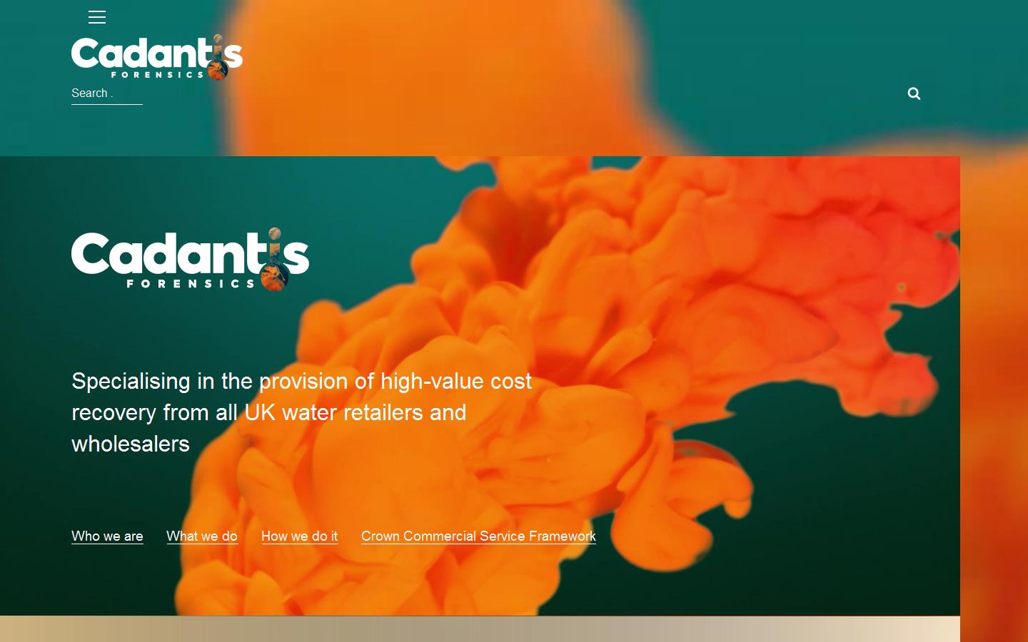 Cadantis Associates Ltd Website
