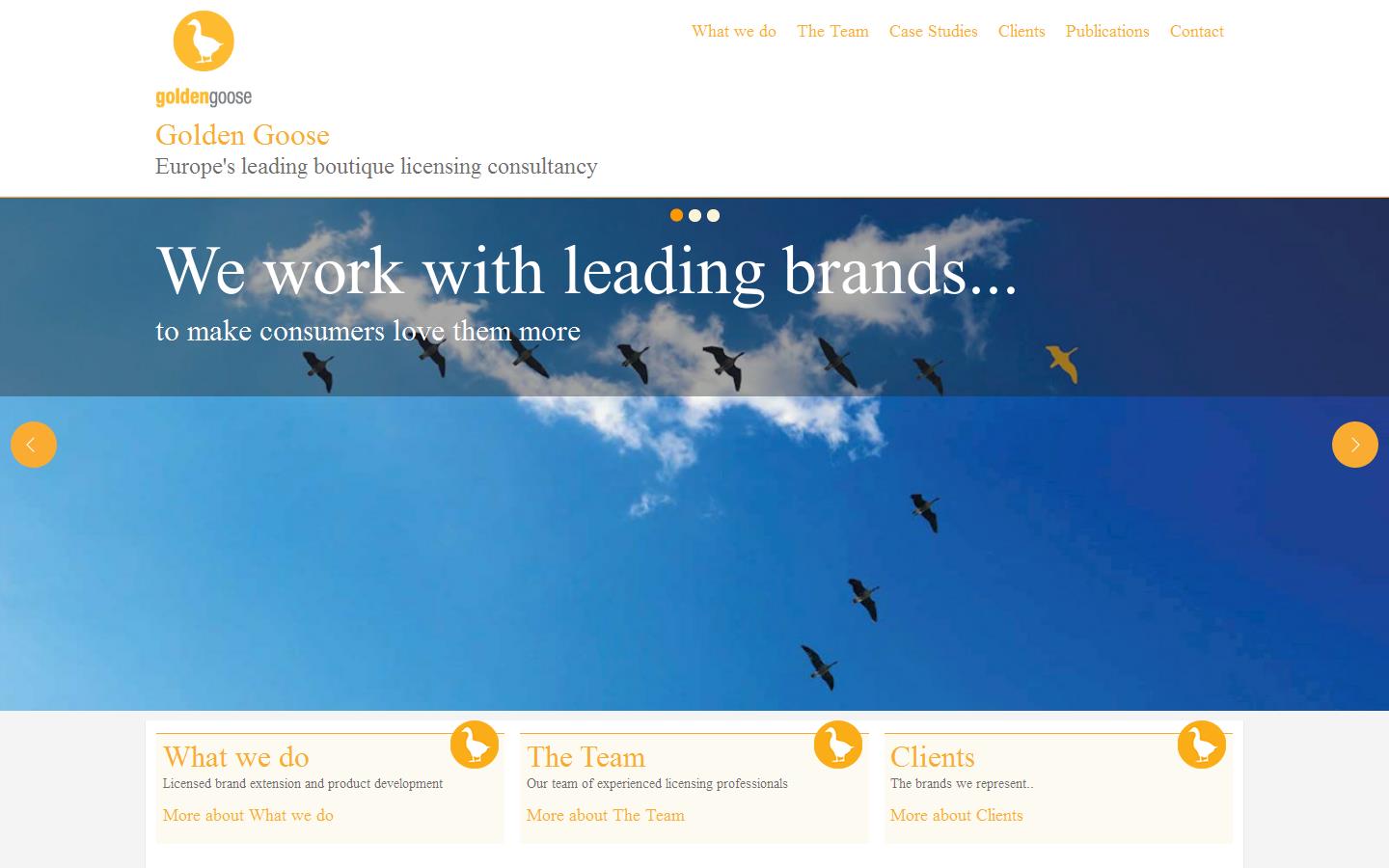 Golden Goose Website