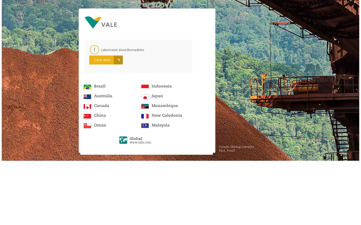 Vale Website