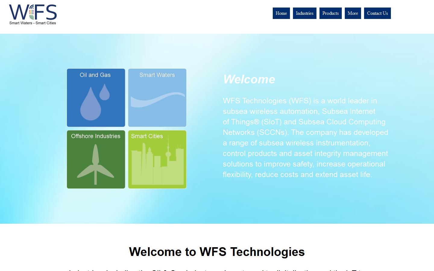 W F S Technology Website
