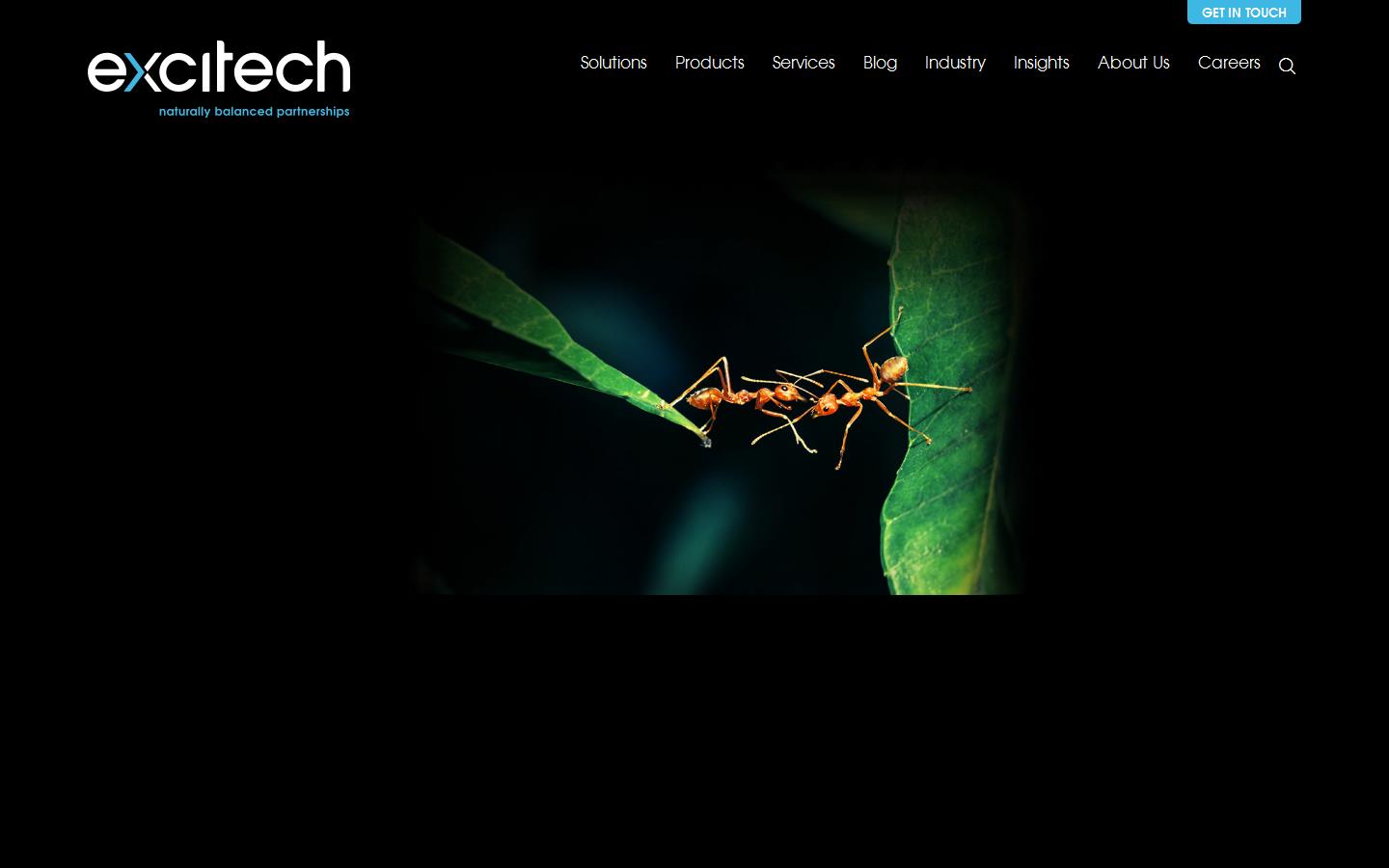 Excitech Ltd Website