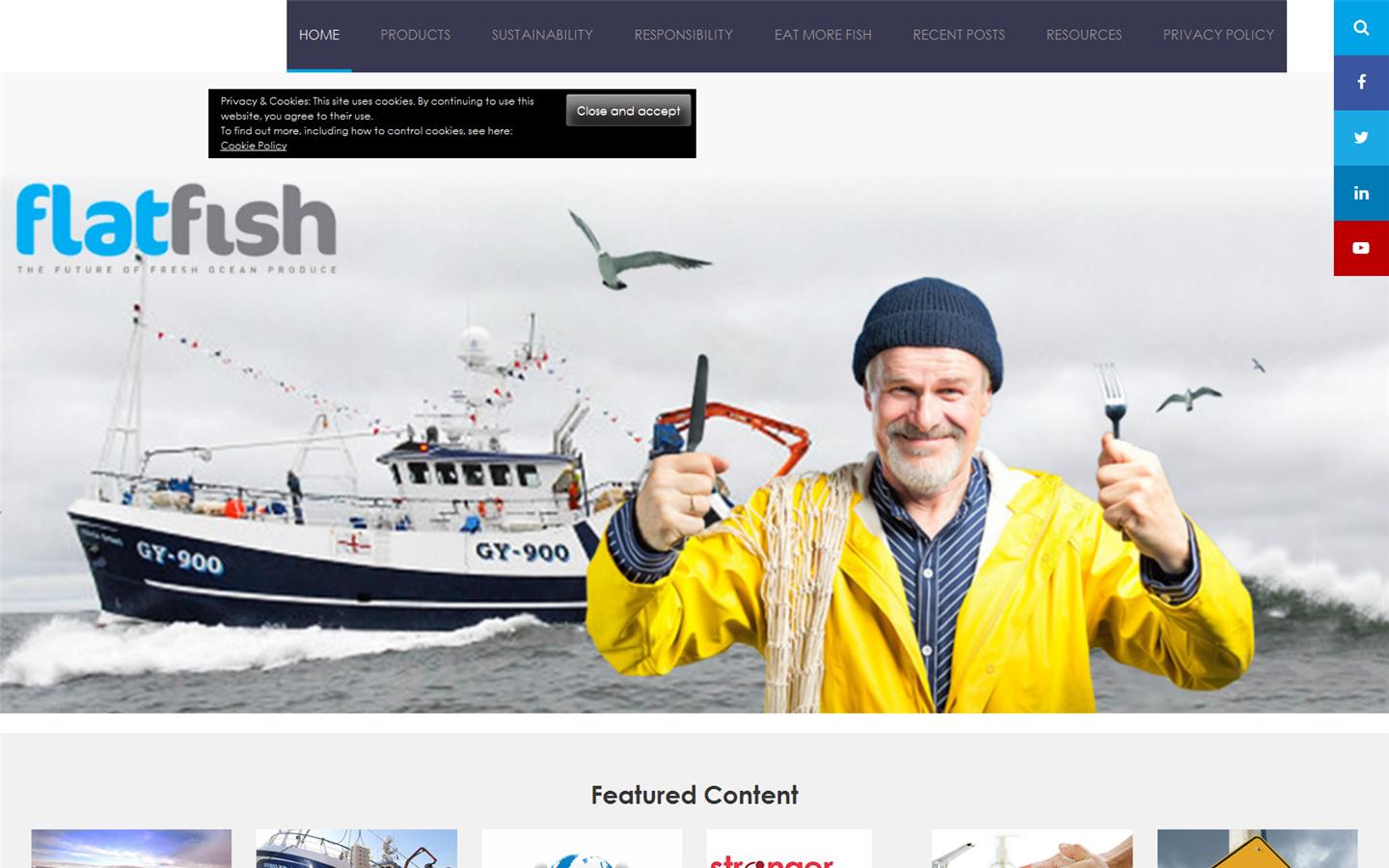 Flatfish Ltd Website