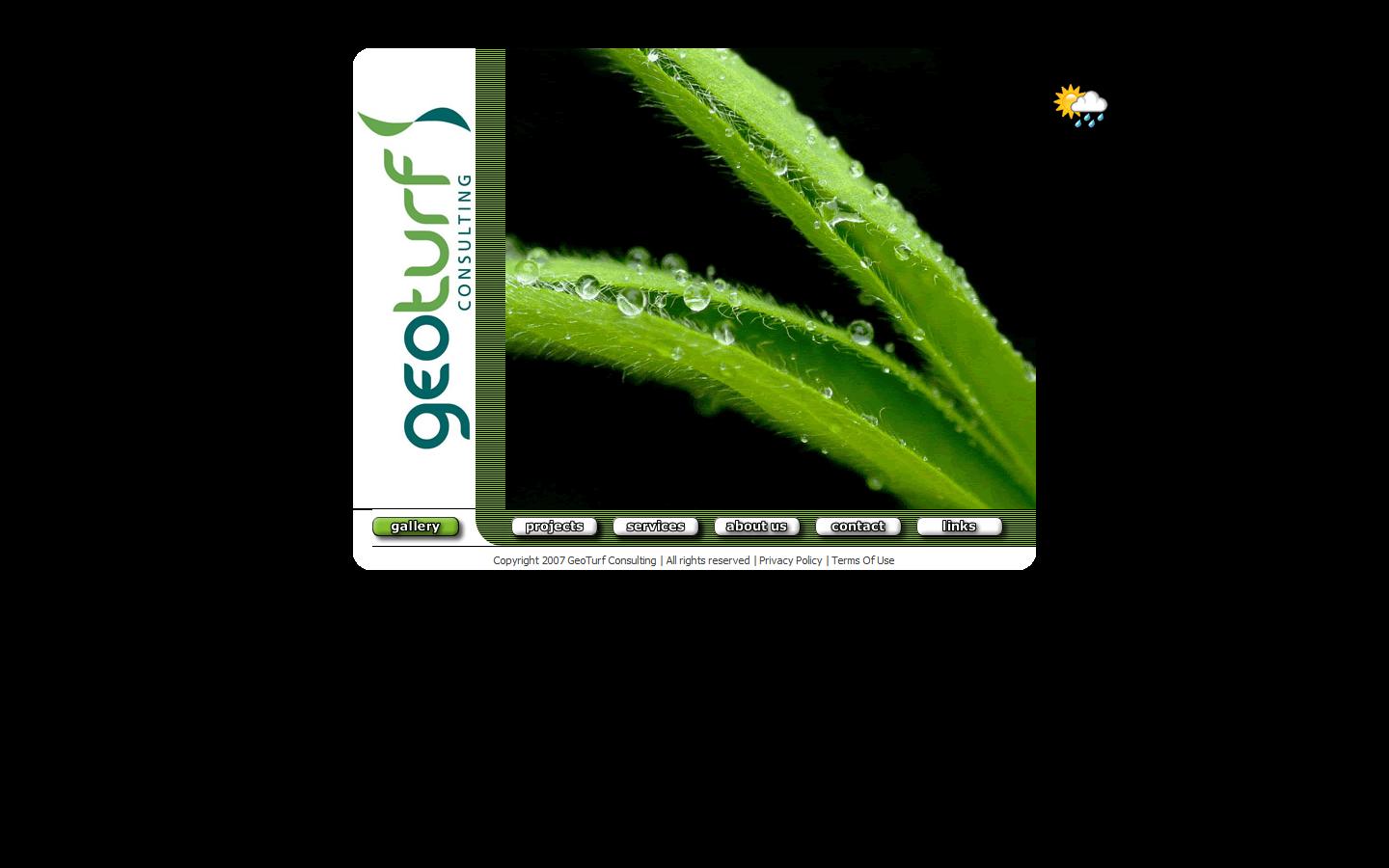 GEO Turf Consulting Website