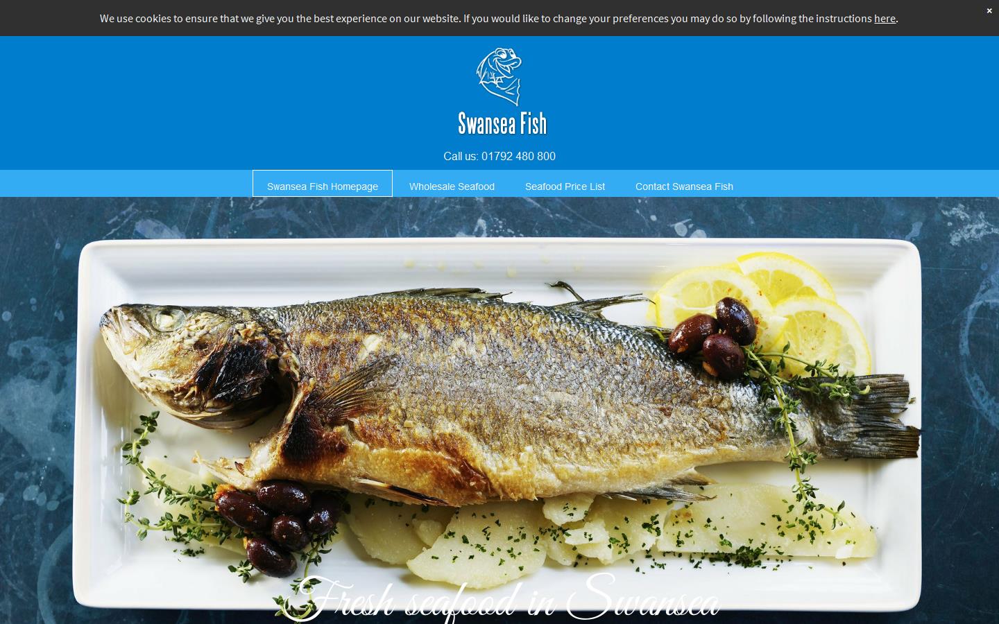 Swansea Fish Website