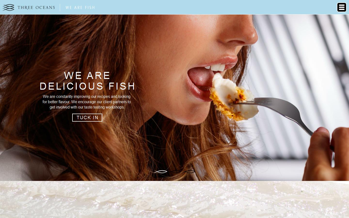 Three Oceans Website