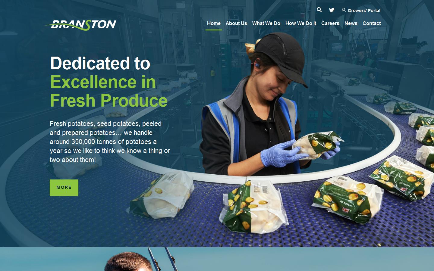 Branston Ltd Website