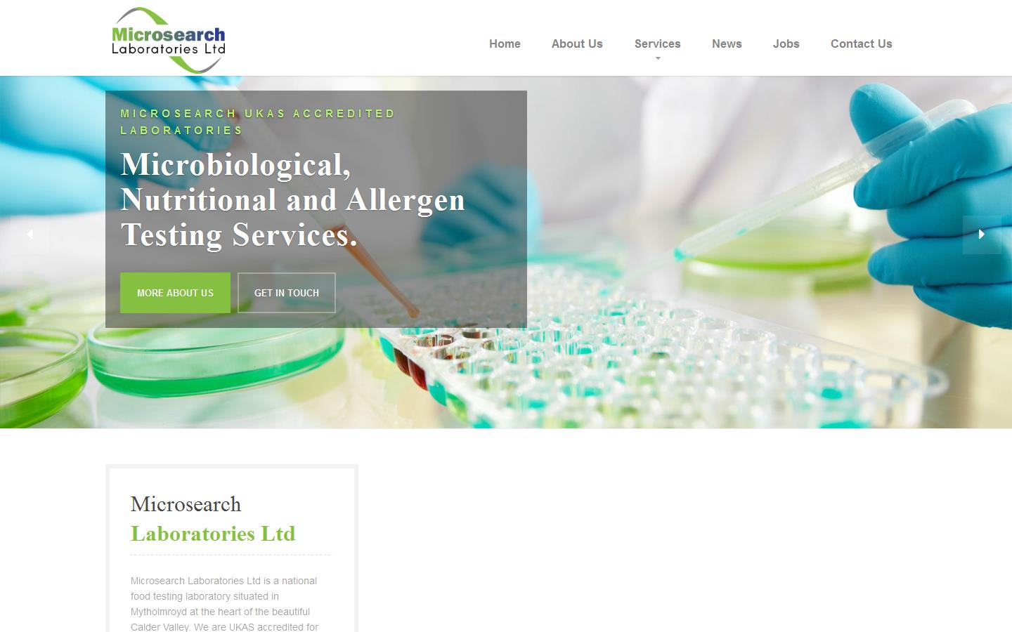 Microsearch Laboratories Ltd Website
