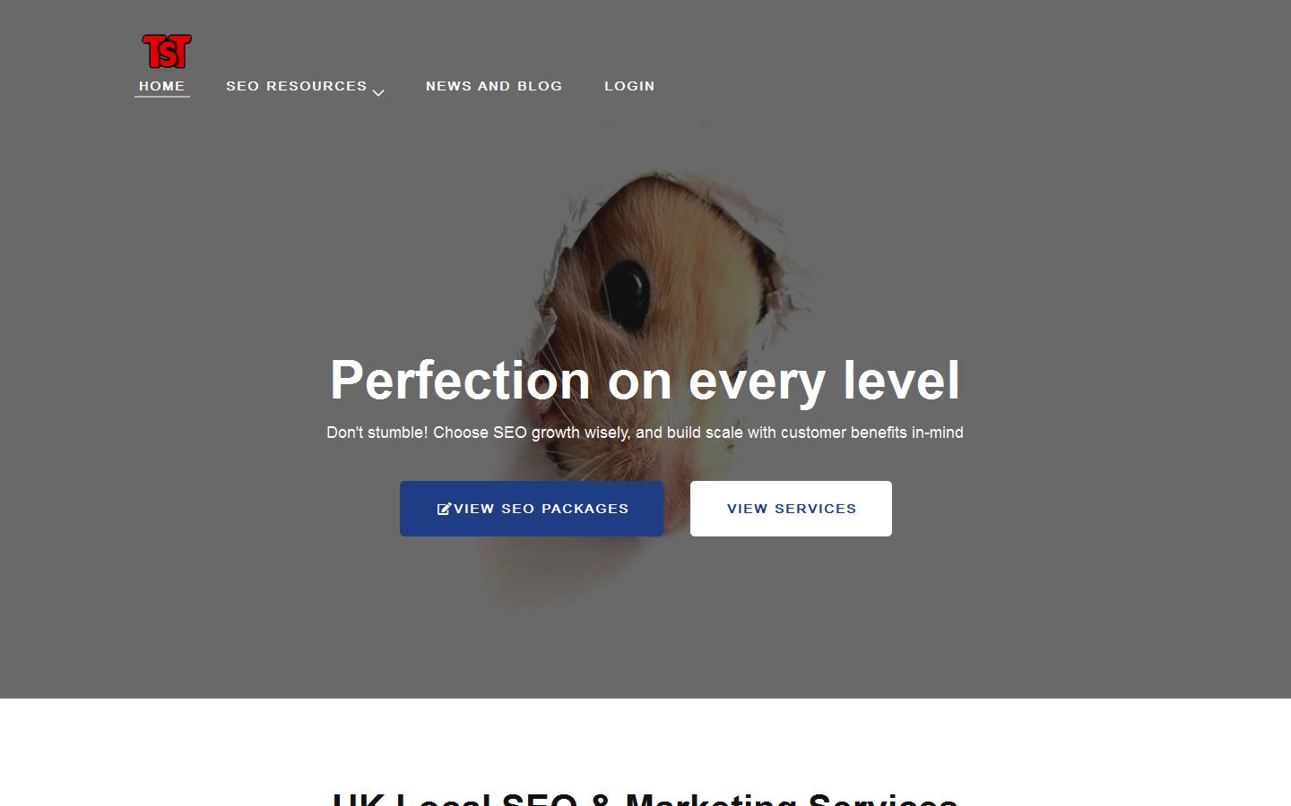 The Traffic SEO Website