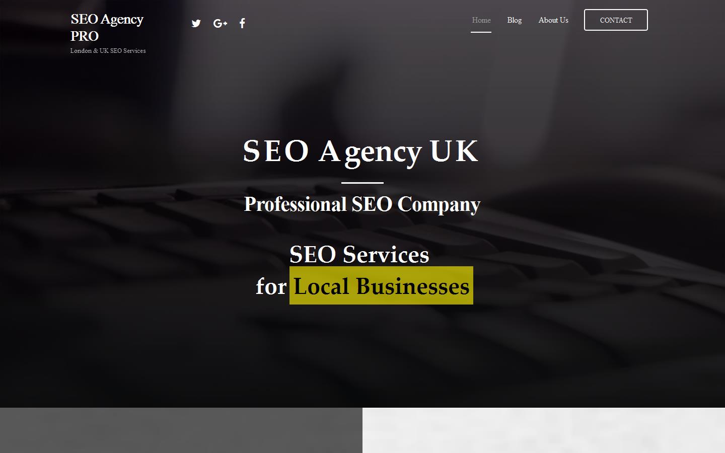 SEO Provider Website