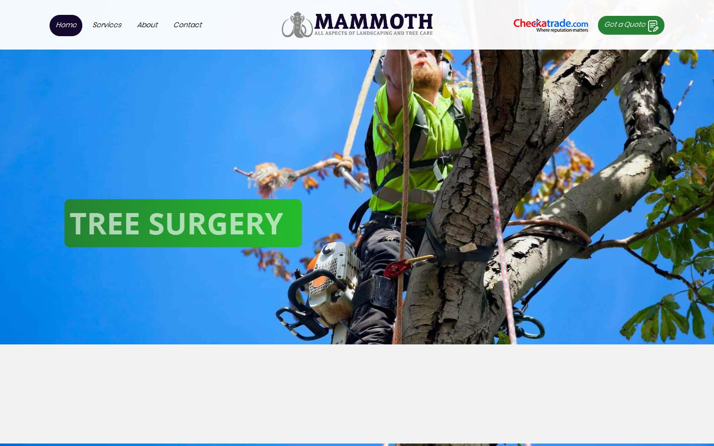 Mammoth Services Ltd Website