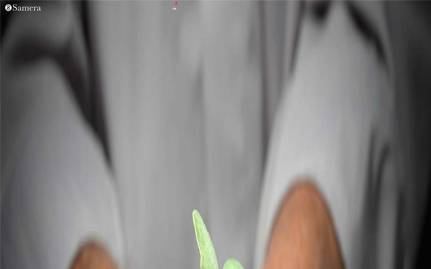 Samera Business Advisors Website