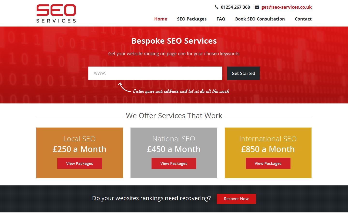 SEO Services Website
