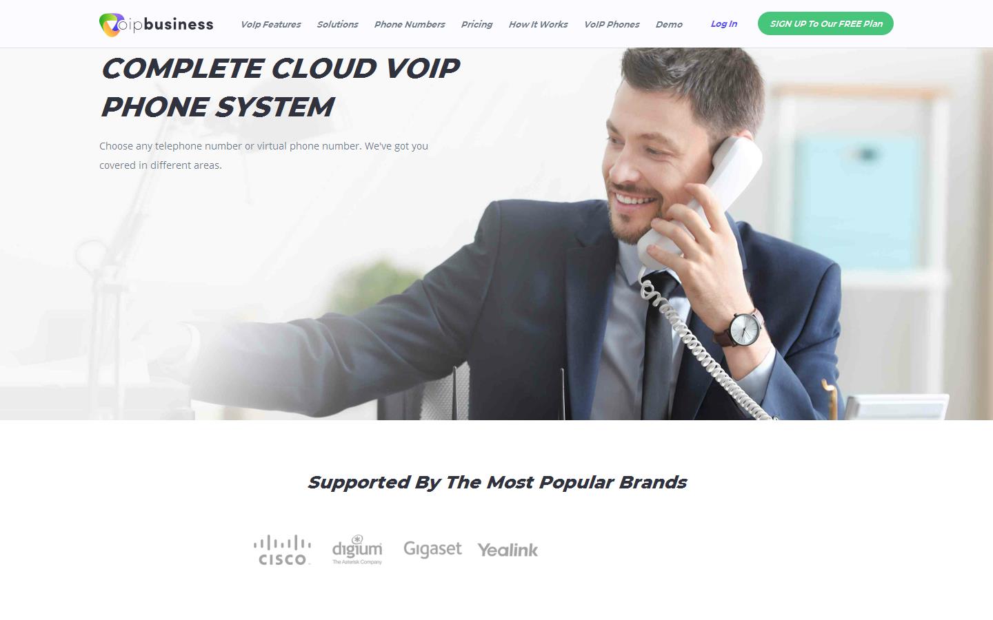 VoIP Business Website