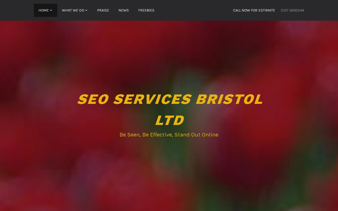 SEO Services Bristol Ltd Website
