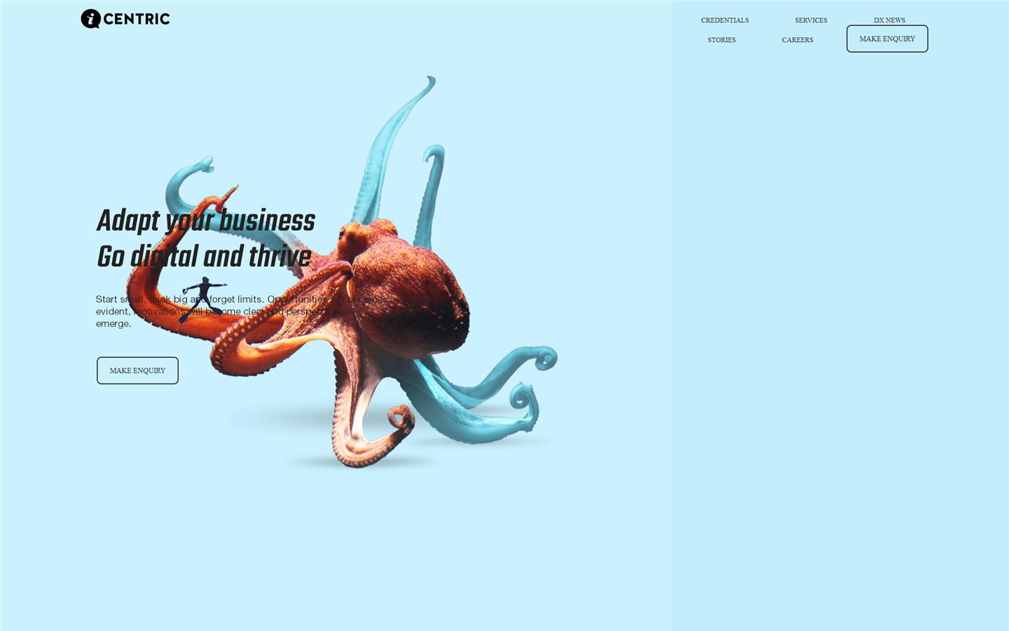 iCentric Agency Website