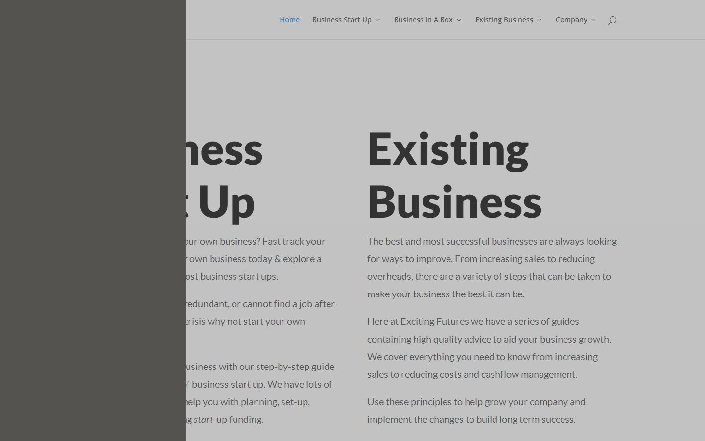 Exciting Futures Website