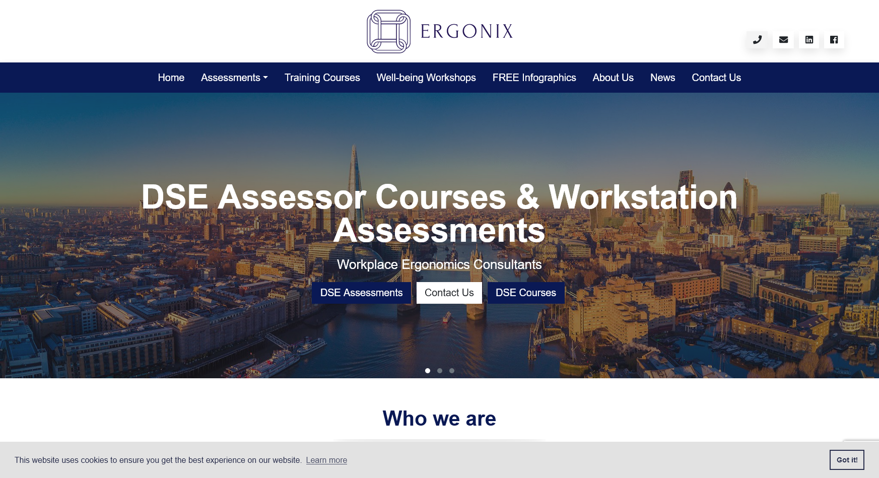 Ergonix Website