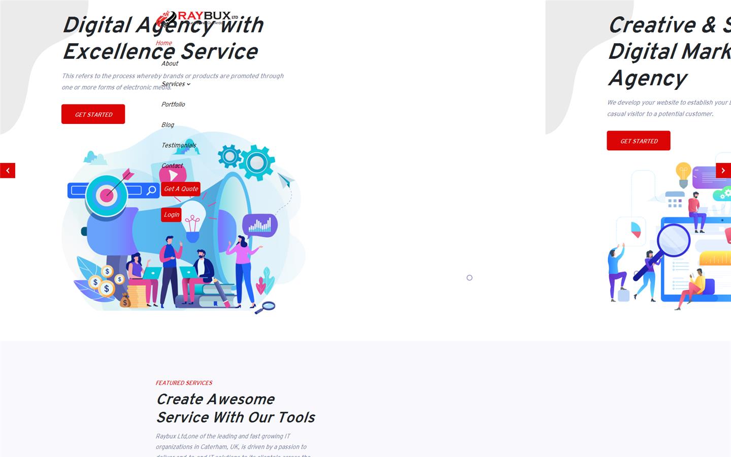 Raybux Ltd Website