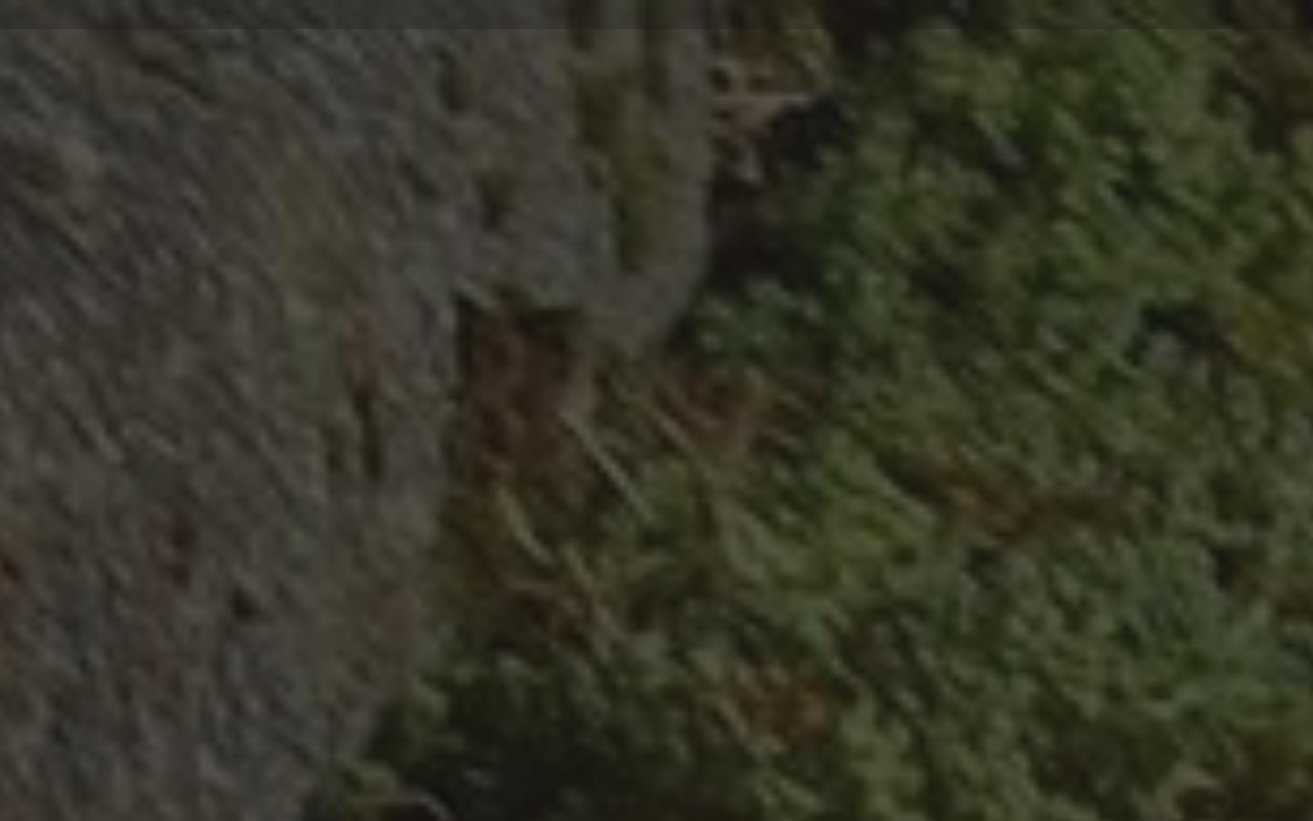 HCL Cleaning Ltd Website