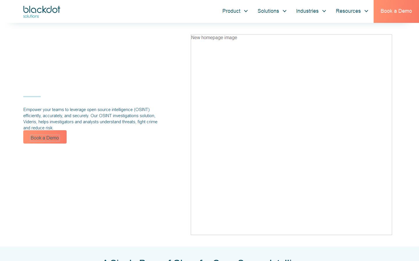 Blackdot Solutions Website
