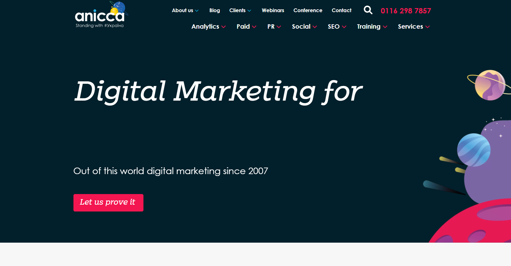 Anicca Digital Website