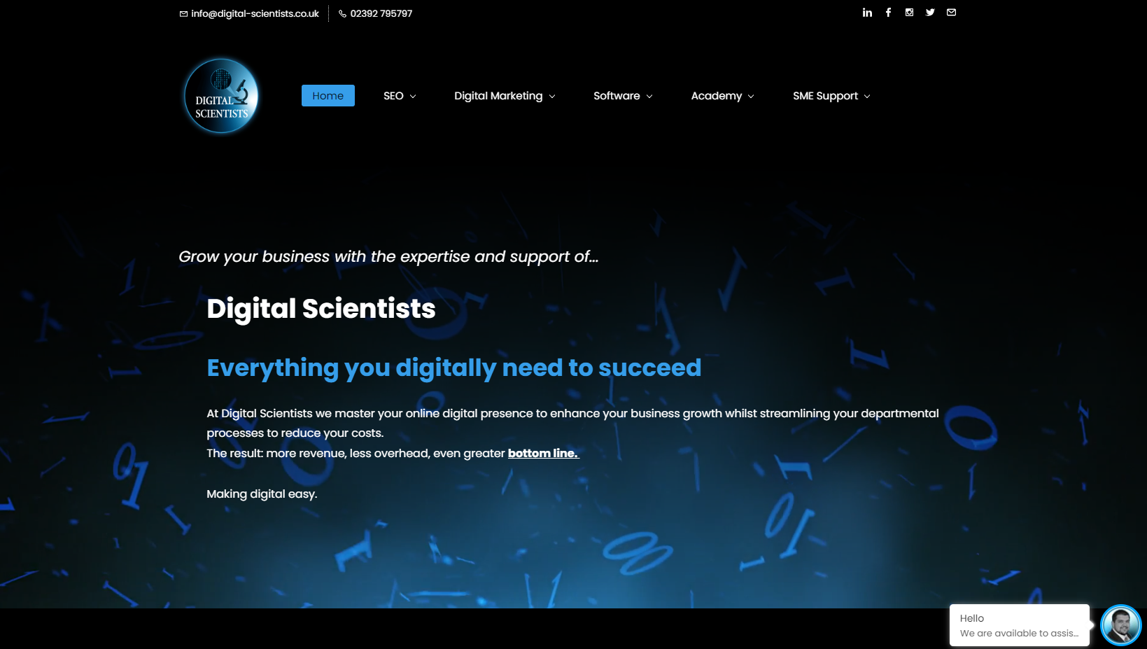 Digital Scientists Website