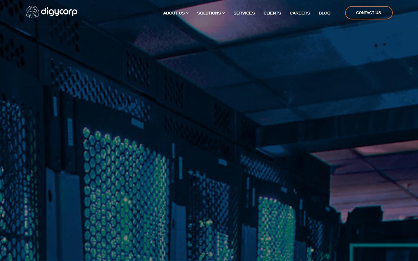 DigyCorp Website