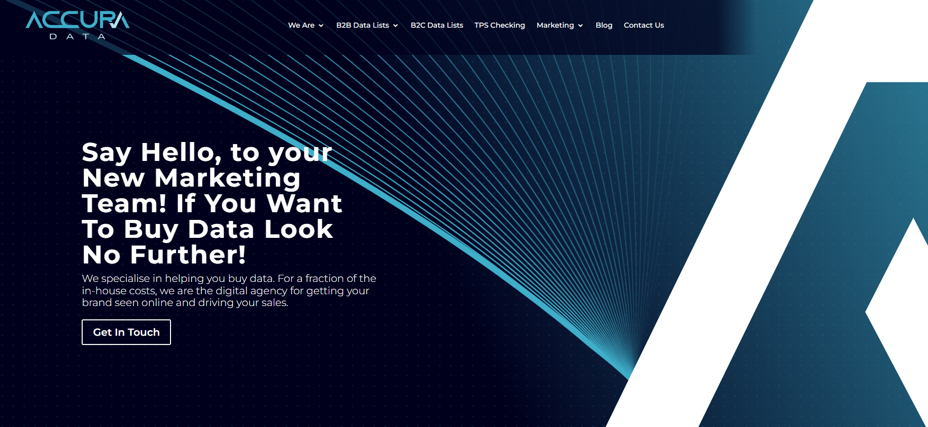 AccuraData Ltd Website