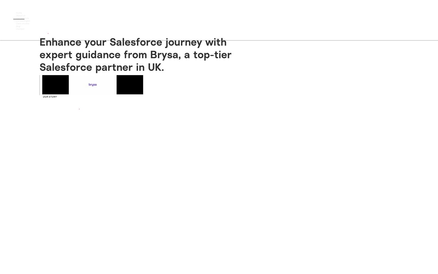 Brysa Limited Website