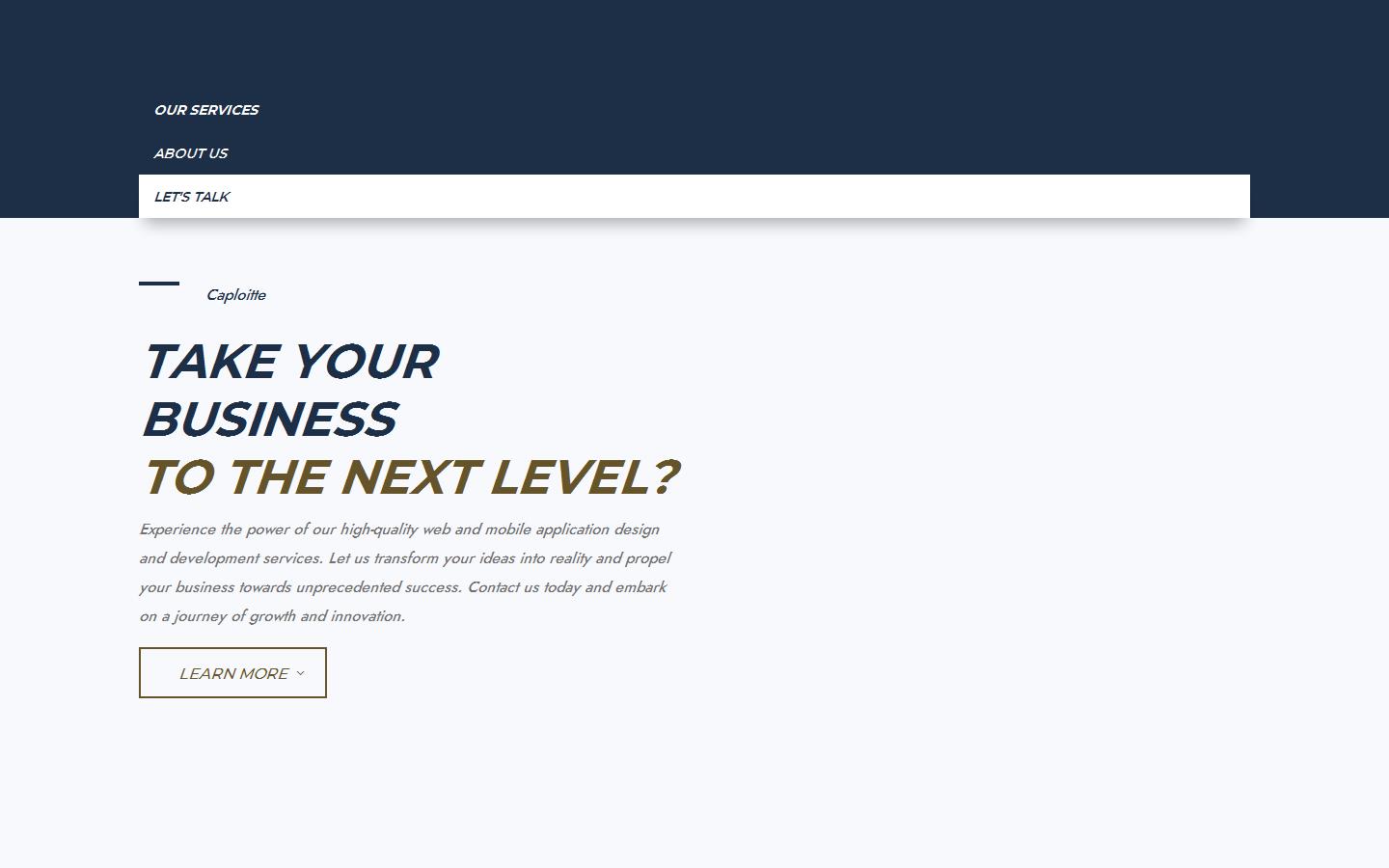 Caploitte Ltd Website