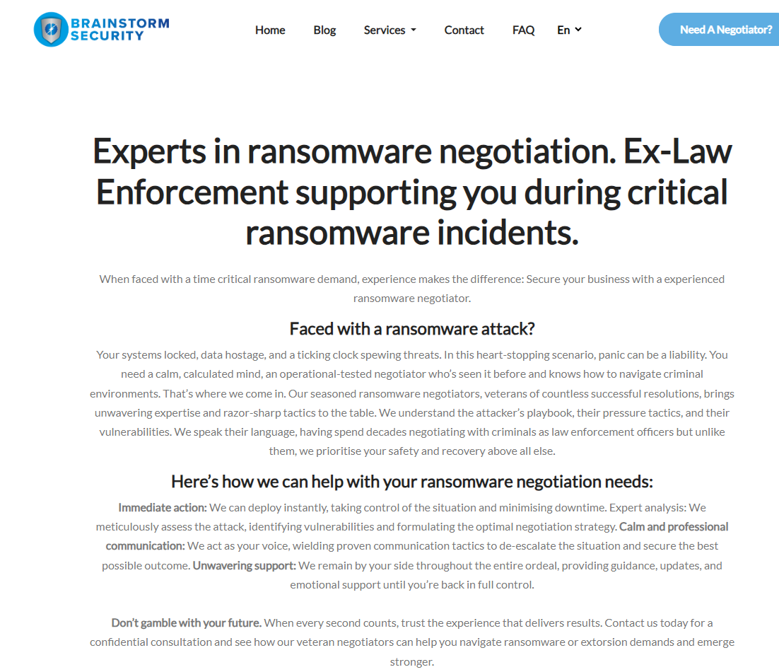 Brainstorm Security Website