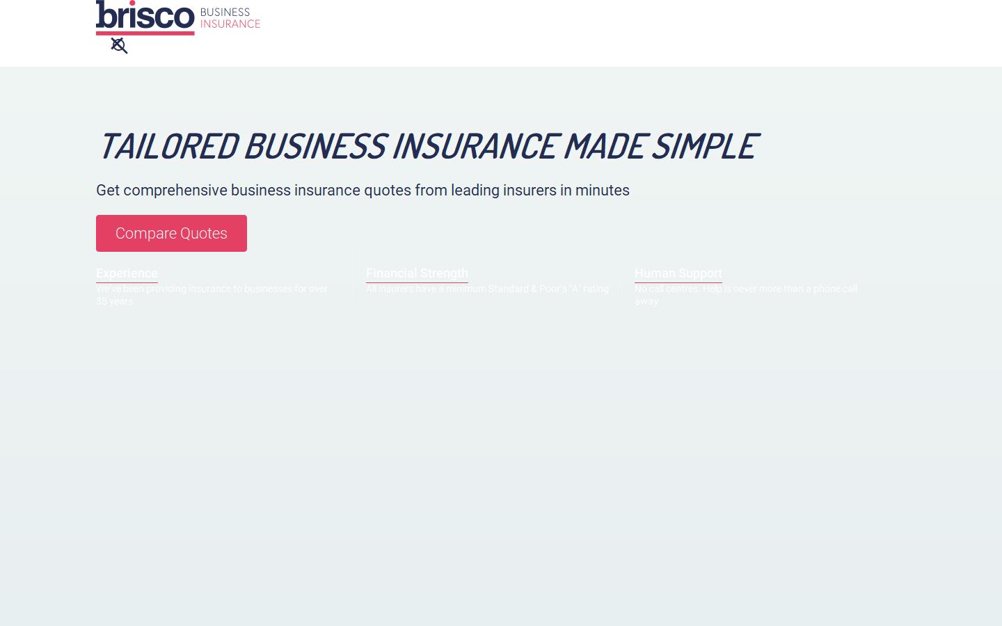 Brisco Business Website