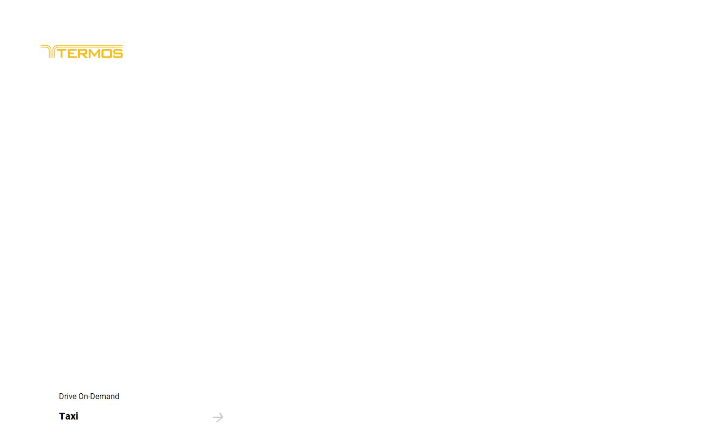 Termos International Limited Website